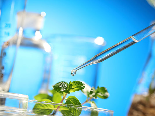 A dropper is dripping water to plants with a laboratory beaker in the background.